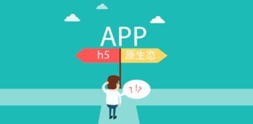 新疆熵客云 專屬定制的網頁設計、App開發與烏魯木齊網站建設推廣專家